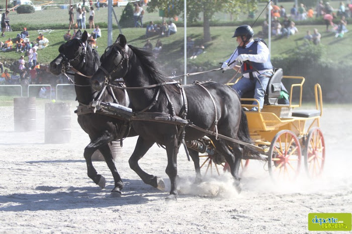 Exhibición de Enganches en el XXII Día del Deporte